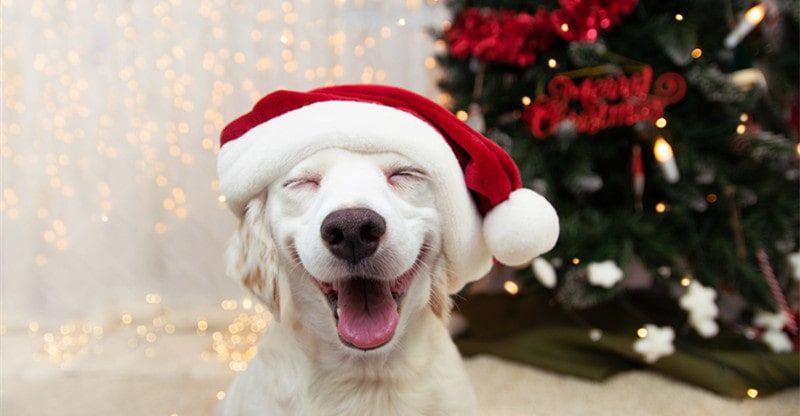 4 Causes One Can Contemplate The Vape A Style Accent